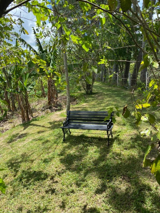 Haus Unter Palmen Villa Jarabacoa Eksteriør billede