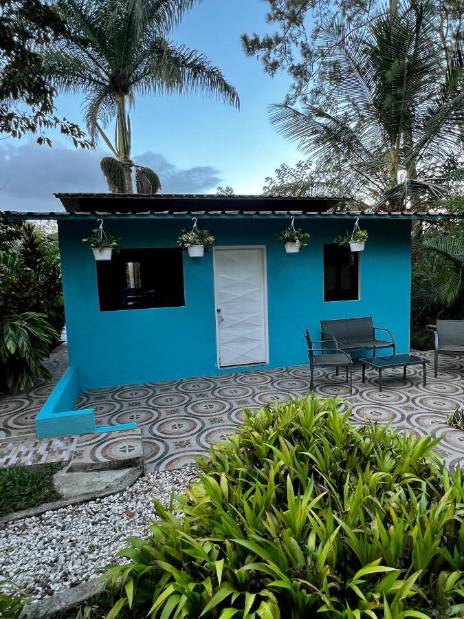 Haus Unter Palmen Villa Jarabacoa Eksteriør billede
